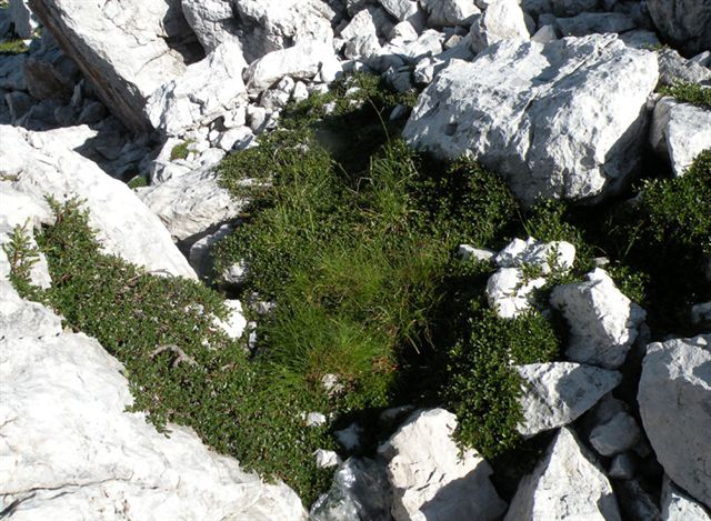 A zonzo sulle Dolomiti del Brenta 3
